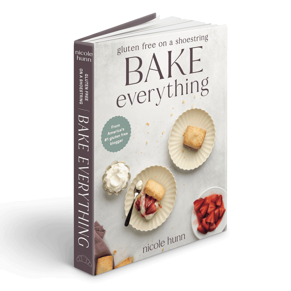 Bake Everything Gluten Free Cookbook by Nicole Hunn